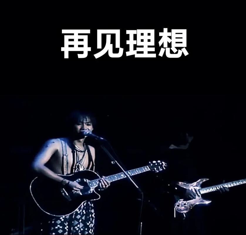再见理想 Poster 2