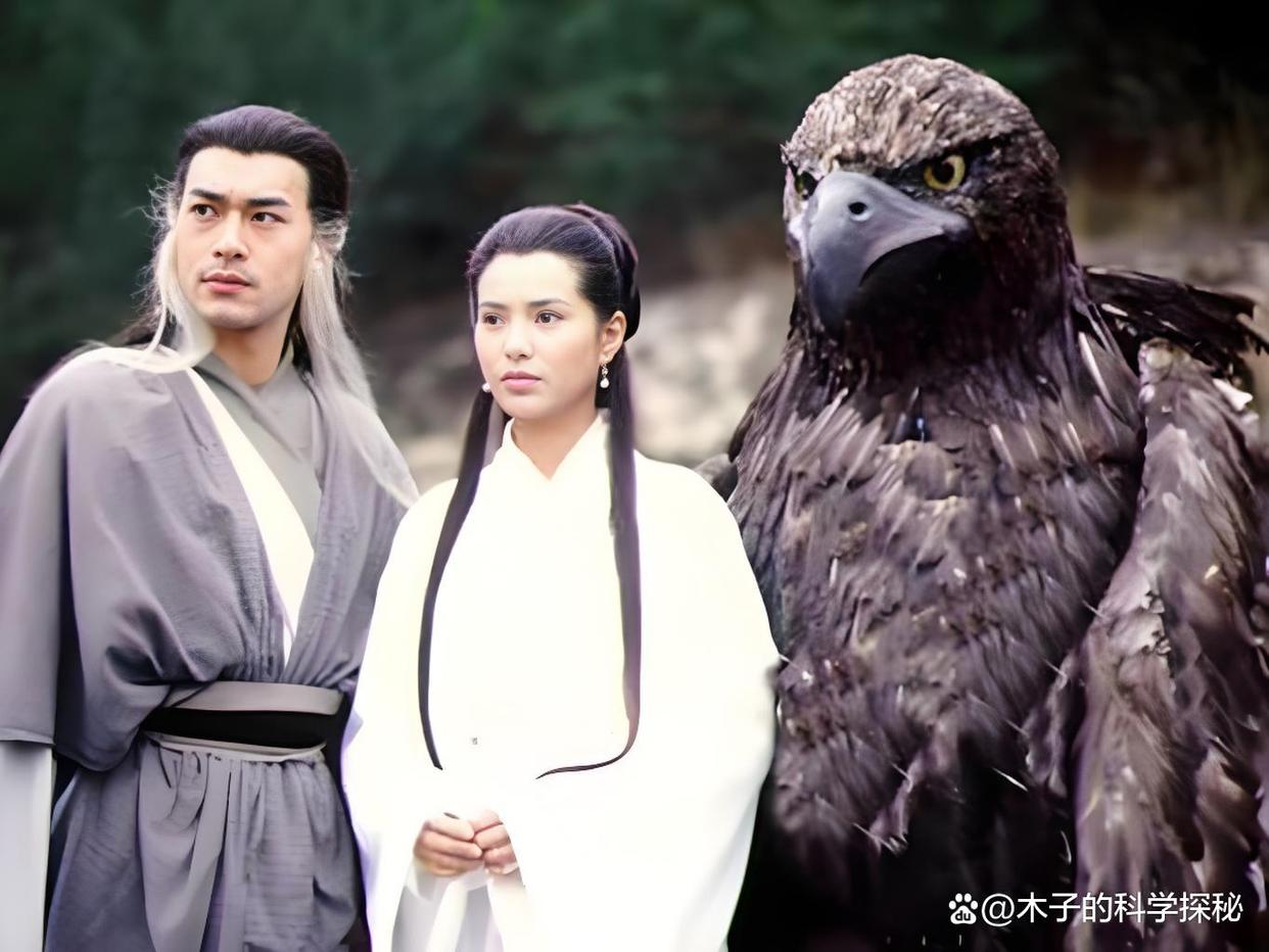 英雄的黎明 Poster 2